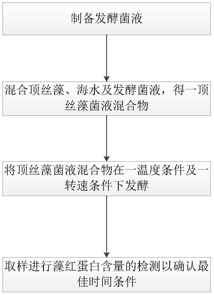 Preparation method for improving phycoerythrin yield