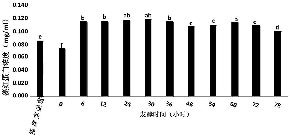 Preparation method for improving phycoerythrin yield