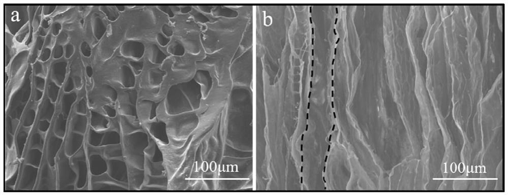 Polyimide composite aerogel, preparation method and application of polyimide composite aerogel as solar evaporator