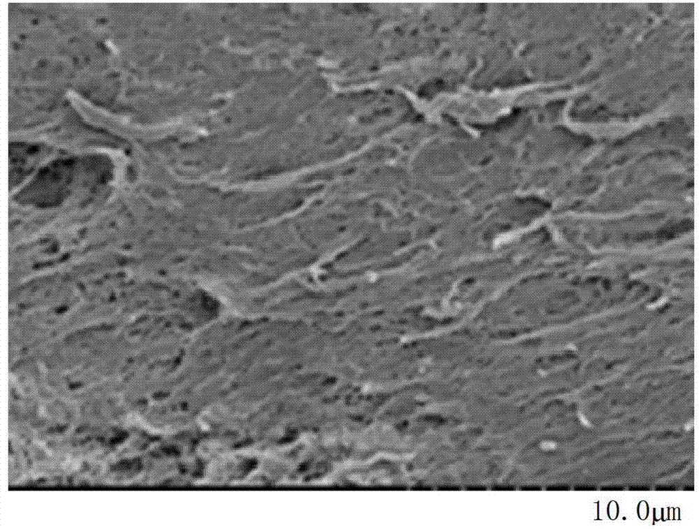 Minced fillet product producing method