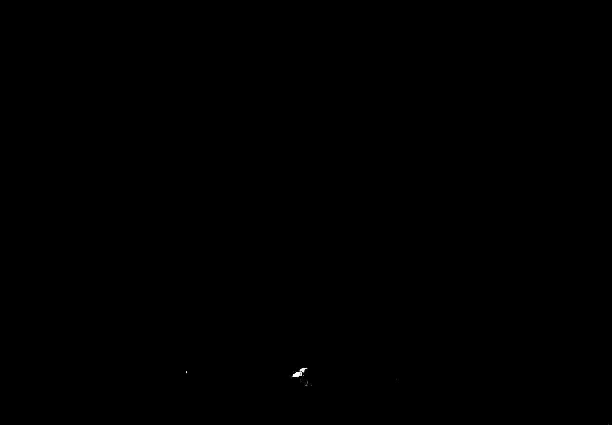 Dried silkworm cordyceps militaris and culture method thereof