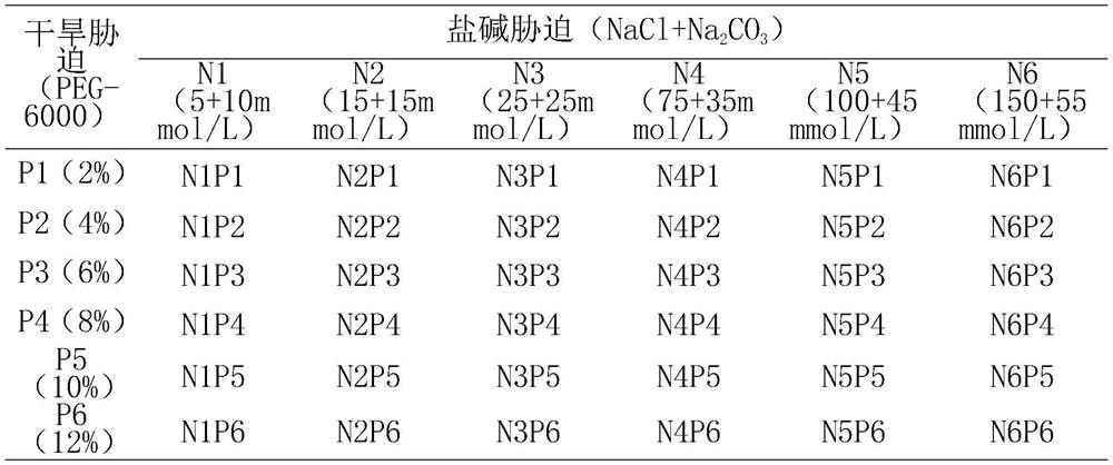 Method for testing influence of dual stress on physiological characteristics of growth of gentiana straminea