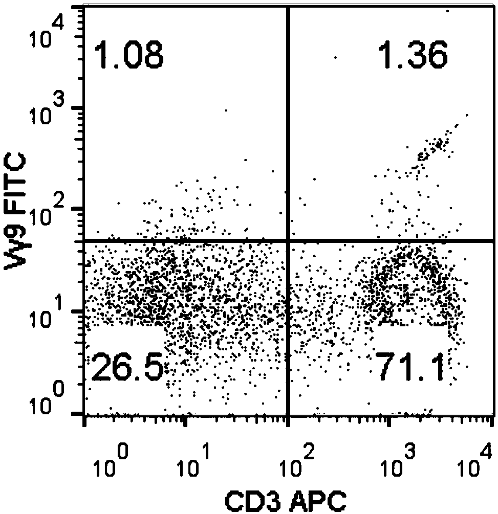 Method for amplifying killing activity gamma-delta T cell by induction in vitro