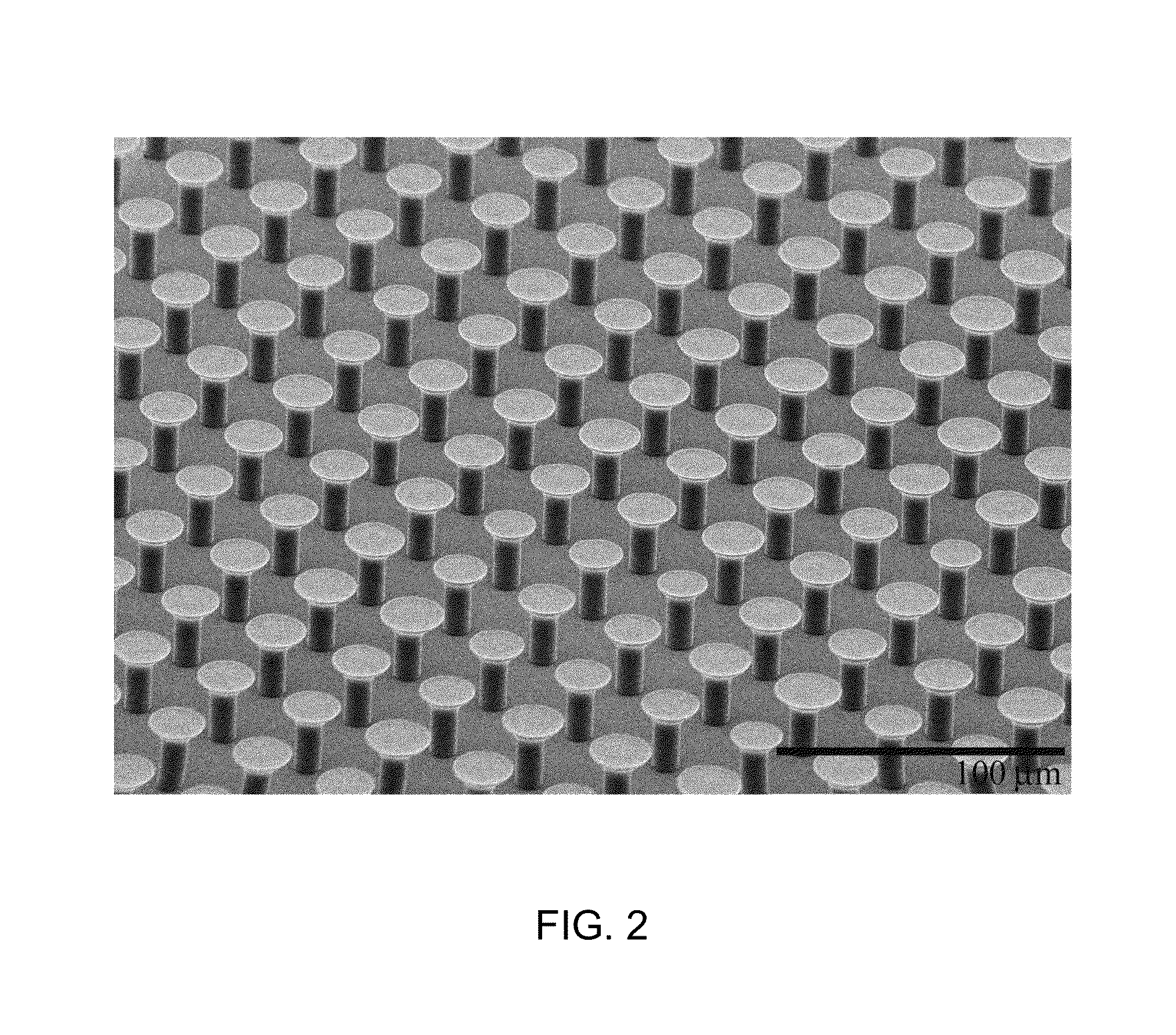 The design of microfibers with mushroom-shaped tips for optimal adhesion