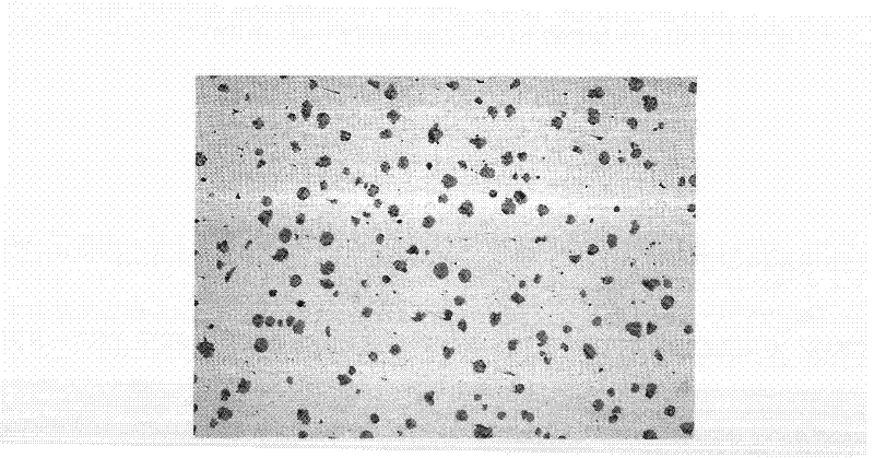 Steel pipe reducing machine or sizing machine ductile iron roll and preparation method thereof