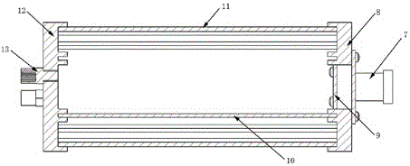 Mobile binocular vision detection and identification device