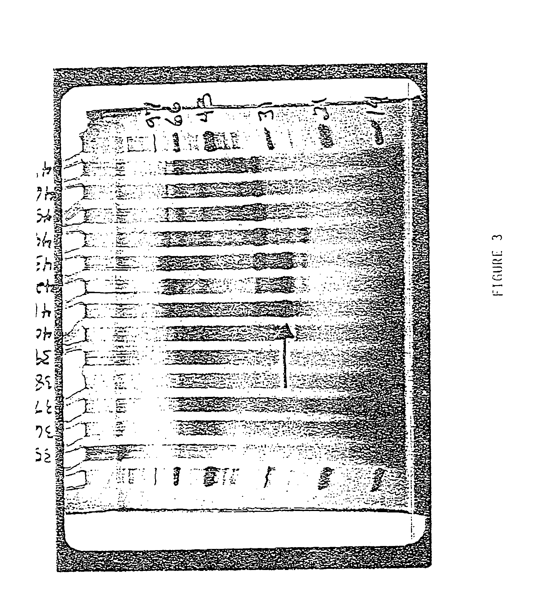 Antibodies that bind purified mammalian FLT3 ligands