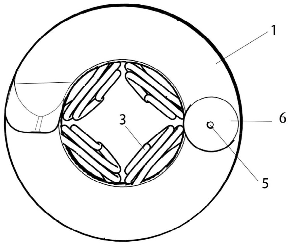 Spiral electrode