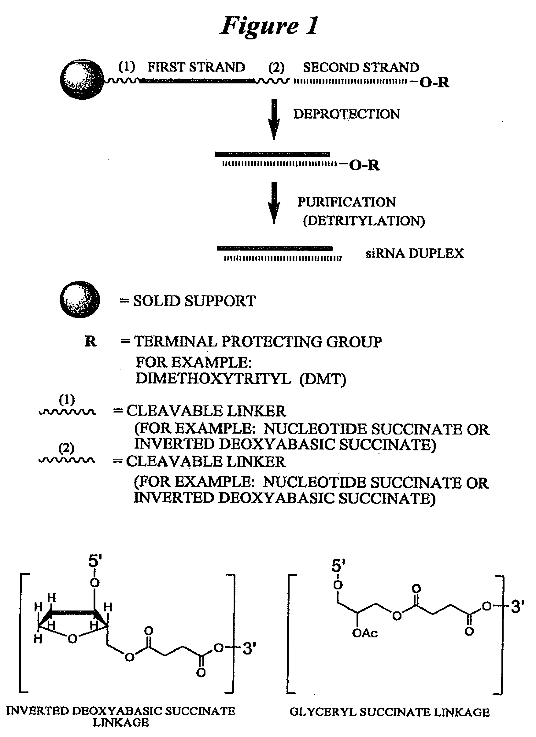 RNA INTERFERENCE MEDIATED INHIBITION OF STEAROYL-CoA DESATURASE (SCD) GENE EXPRESSION USING SHORT INTERFERING NUCELIC ACID (siNA)