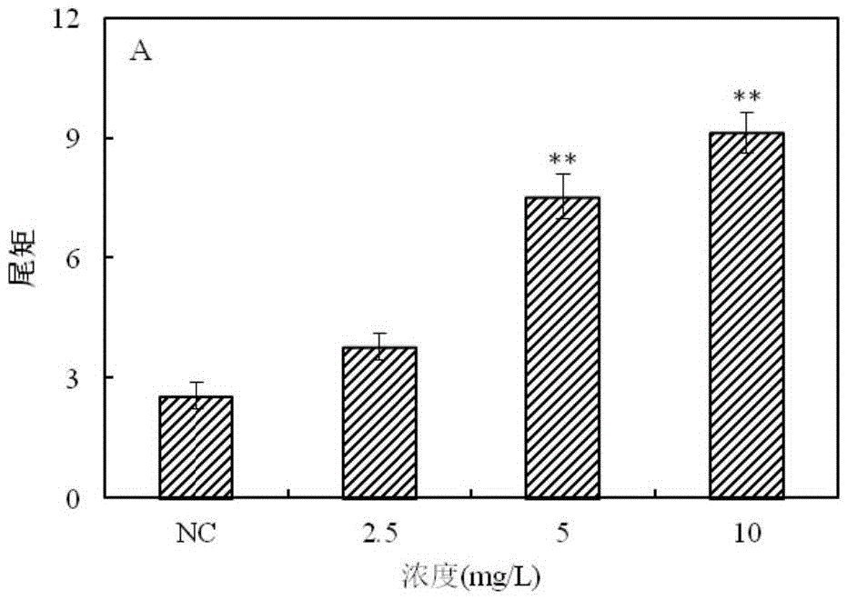 Method for detecting genotoxic agent in water by utilization of Pseudorasbora parva