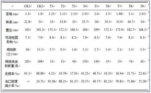 Agricultural microbial preparations and their application in the control of melon root-knot nematode and watermelon wilt