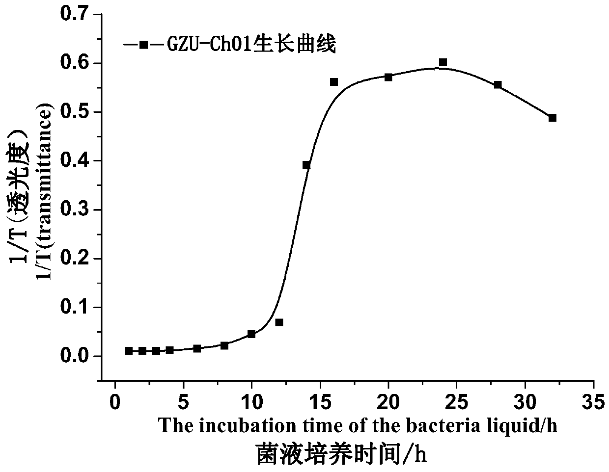 Strain of chryseobacterium and application thereof