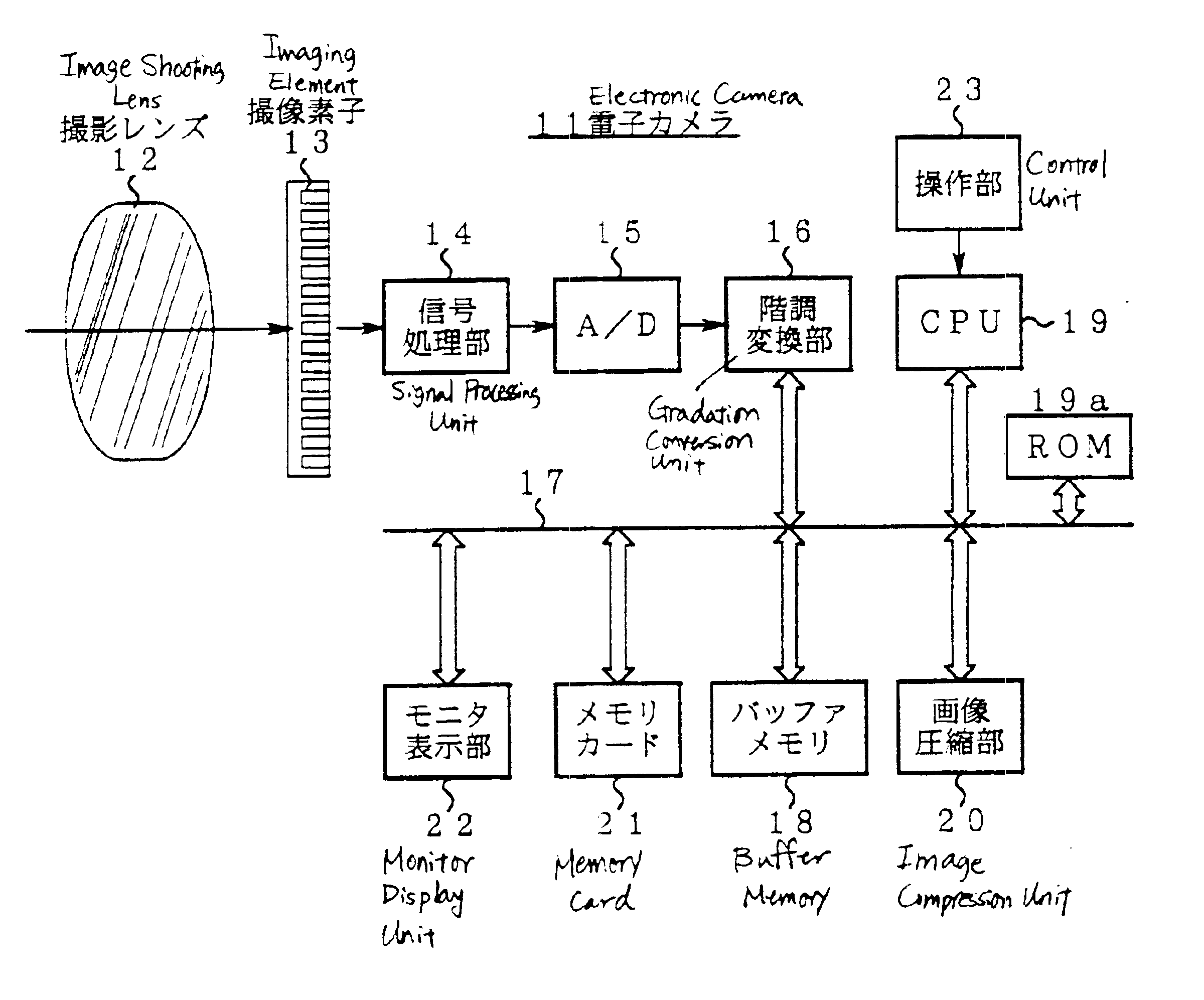 Electronic camera for performing gradation conversion on an image signal