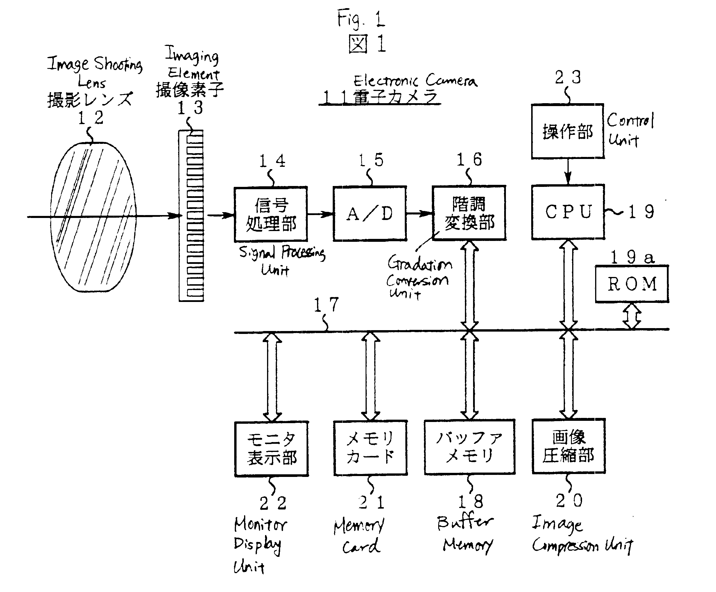 Electronic camera for performing gradation conversion on an image signal