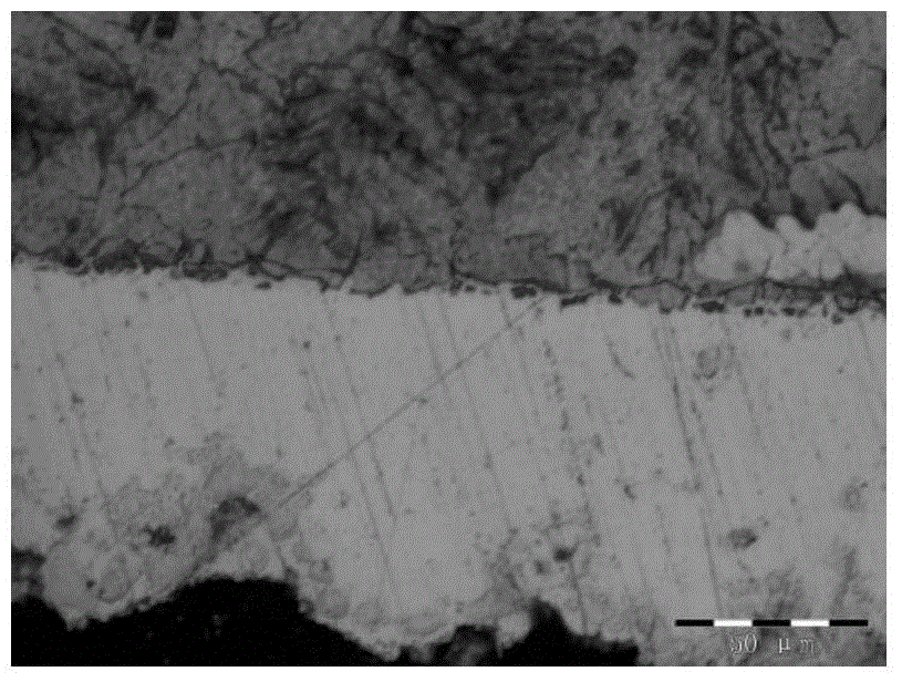 Preparation method of low-cost high-corrosion-resistance Monel metal coating