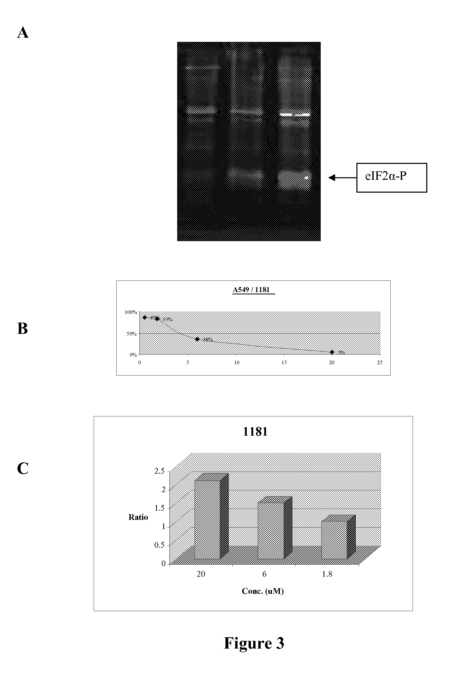 3-3-di-substituted-oxindoles as inhibitors of translation initiation