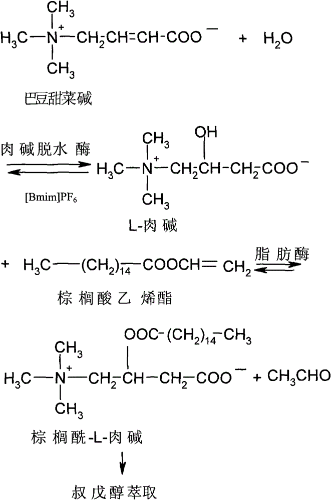 Method for preparing acyl-L-carnitine and/or L-carnitine