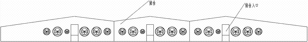 Ventilation system for multi-unit row piggery