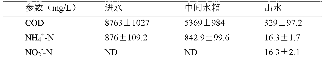 Wastewater treatment method and wastewater treatment system based on sequencing batch membrane biological reaction