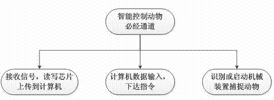 Device and method for automatic recognition and catching of laboratory animals