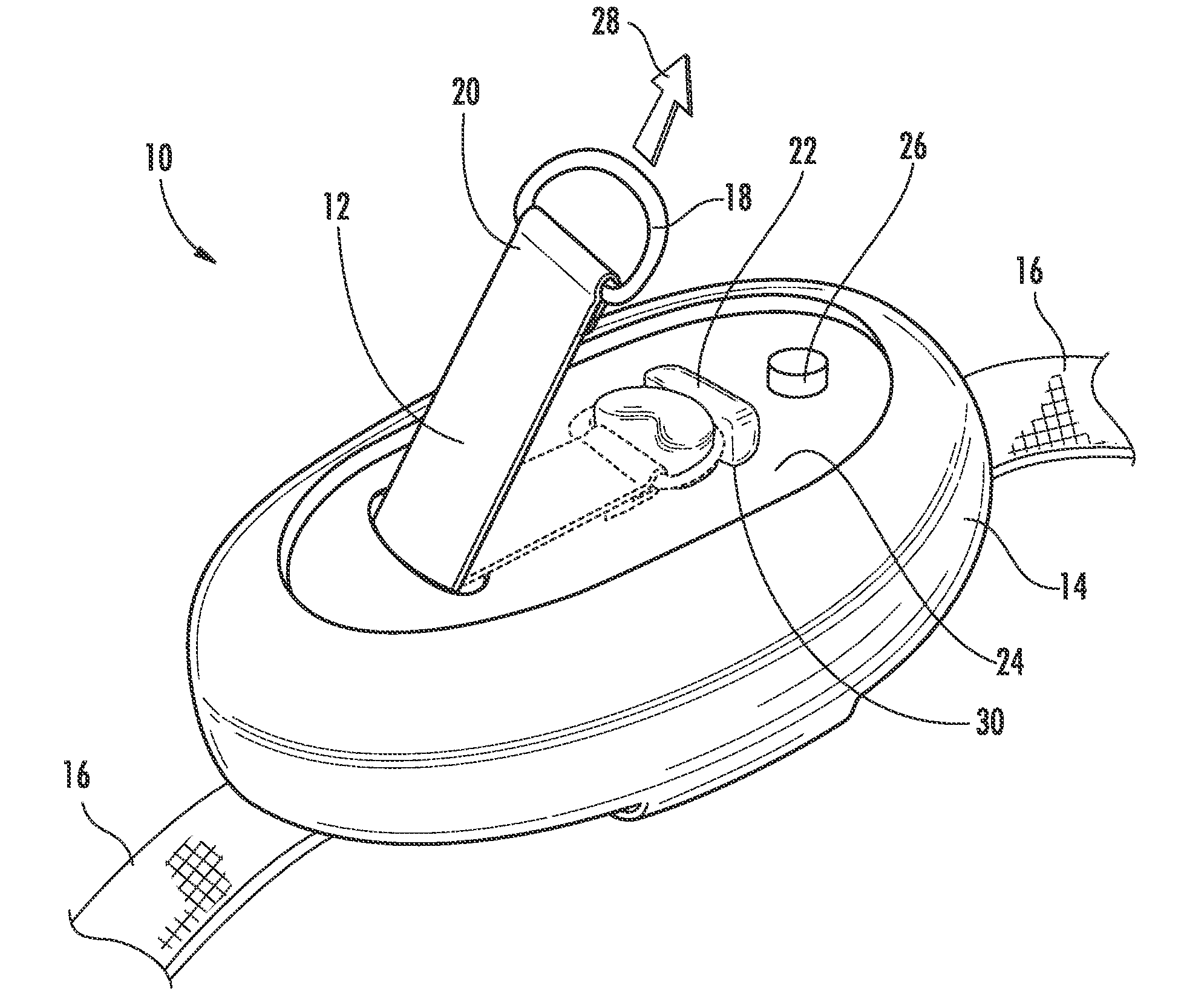 Pet collar having retractable leash