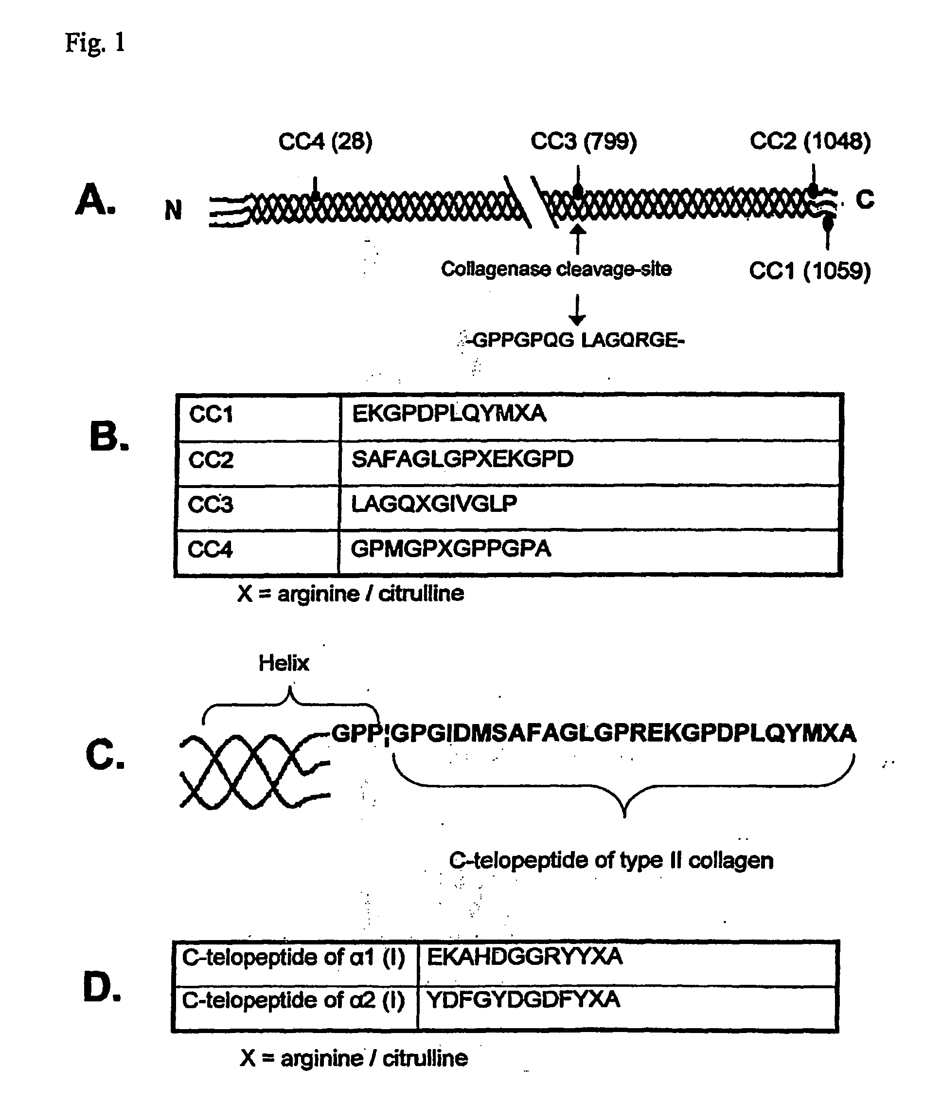 Method for Detecting Autoantibodies Formed in Rheumatoid Arthritis