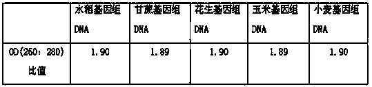 Kit and method for quickly extracting DNA of plant by use of DNA adsorption column