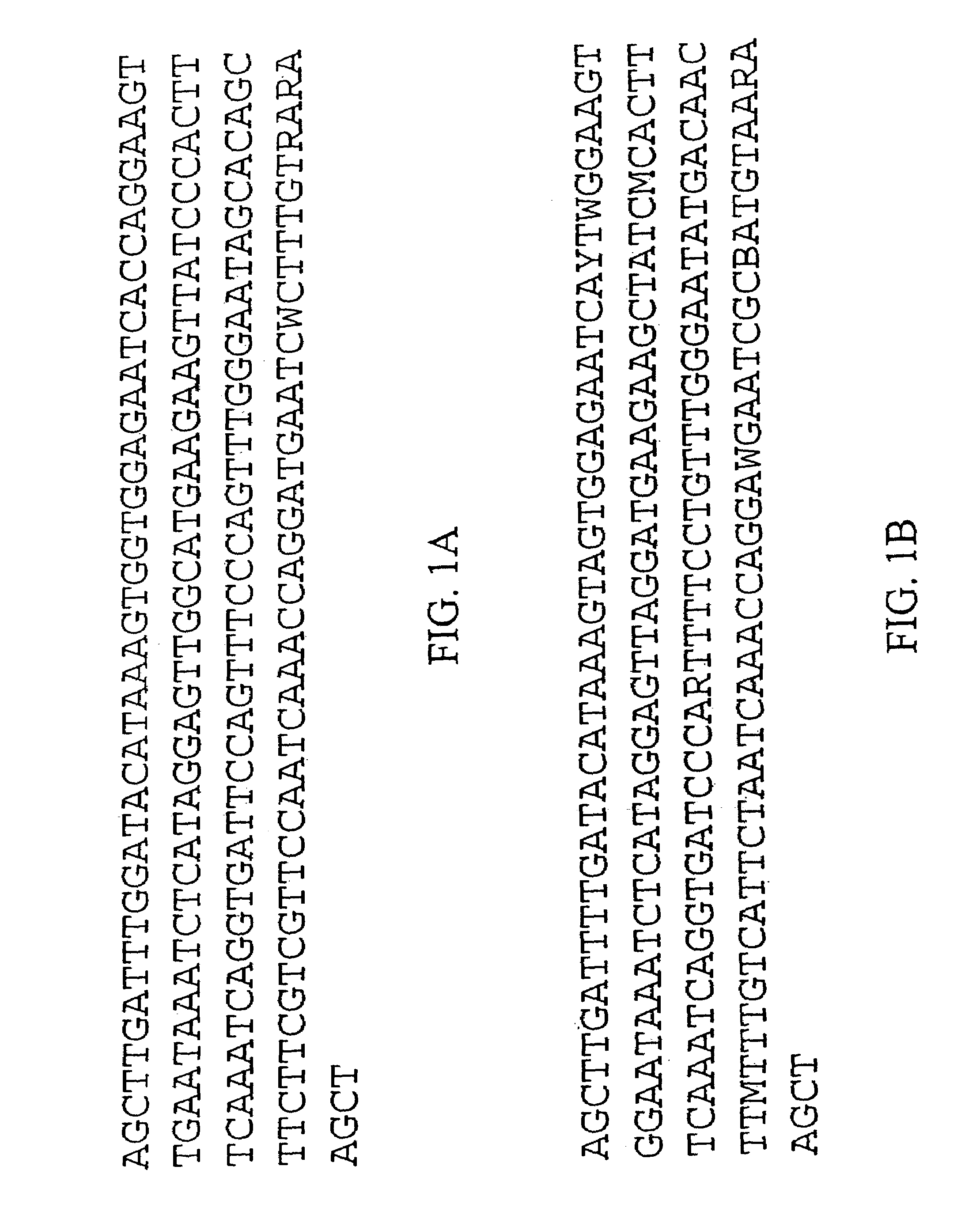 Plant centromere compositions