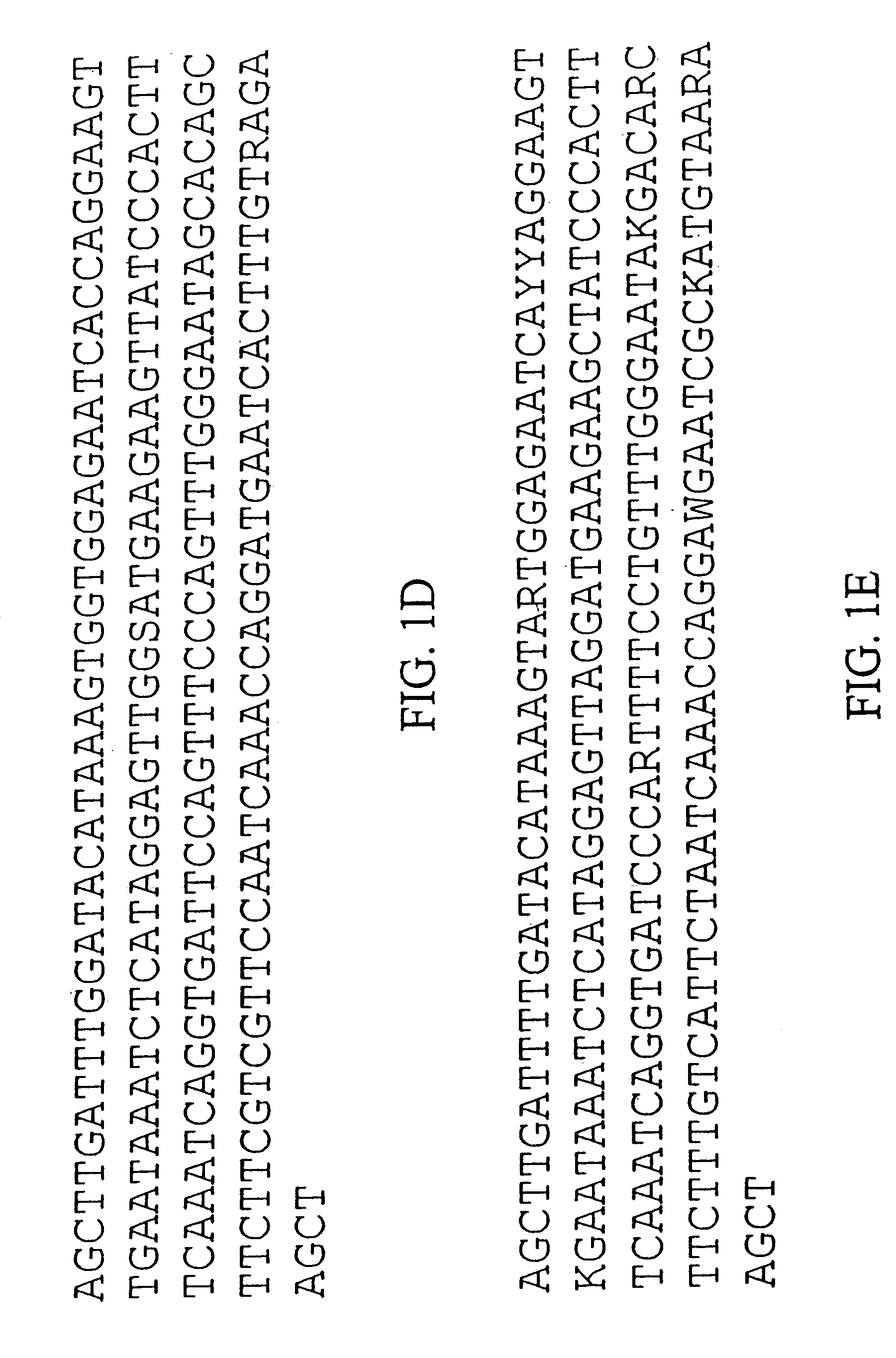 Plant centromere compositions