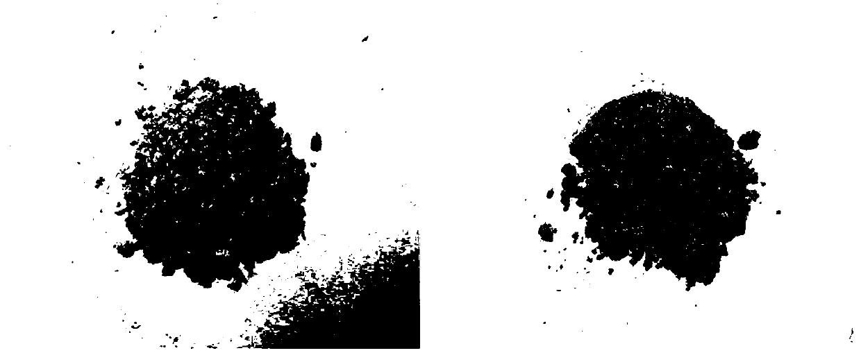 Application of lactococcus lactis KDLL2016-01 in preparation of protein feed by fermenting feathers