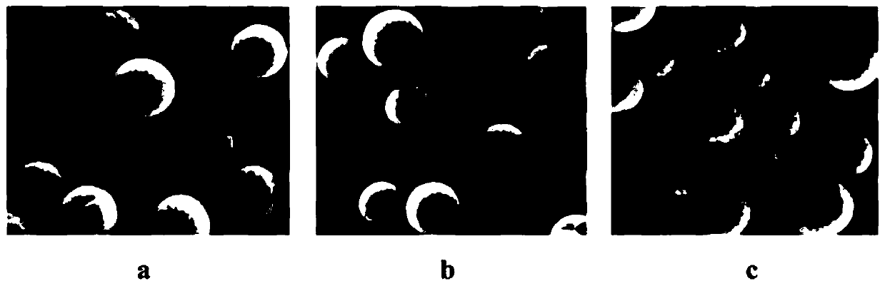 Polylactic acid microspheres and preparation method and application thereof