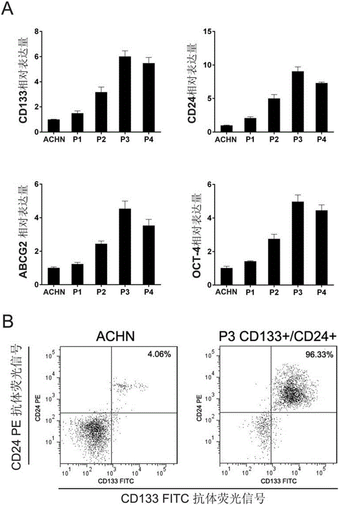 Method for enriching and screening tumor stem cells