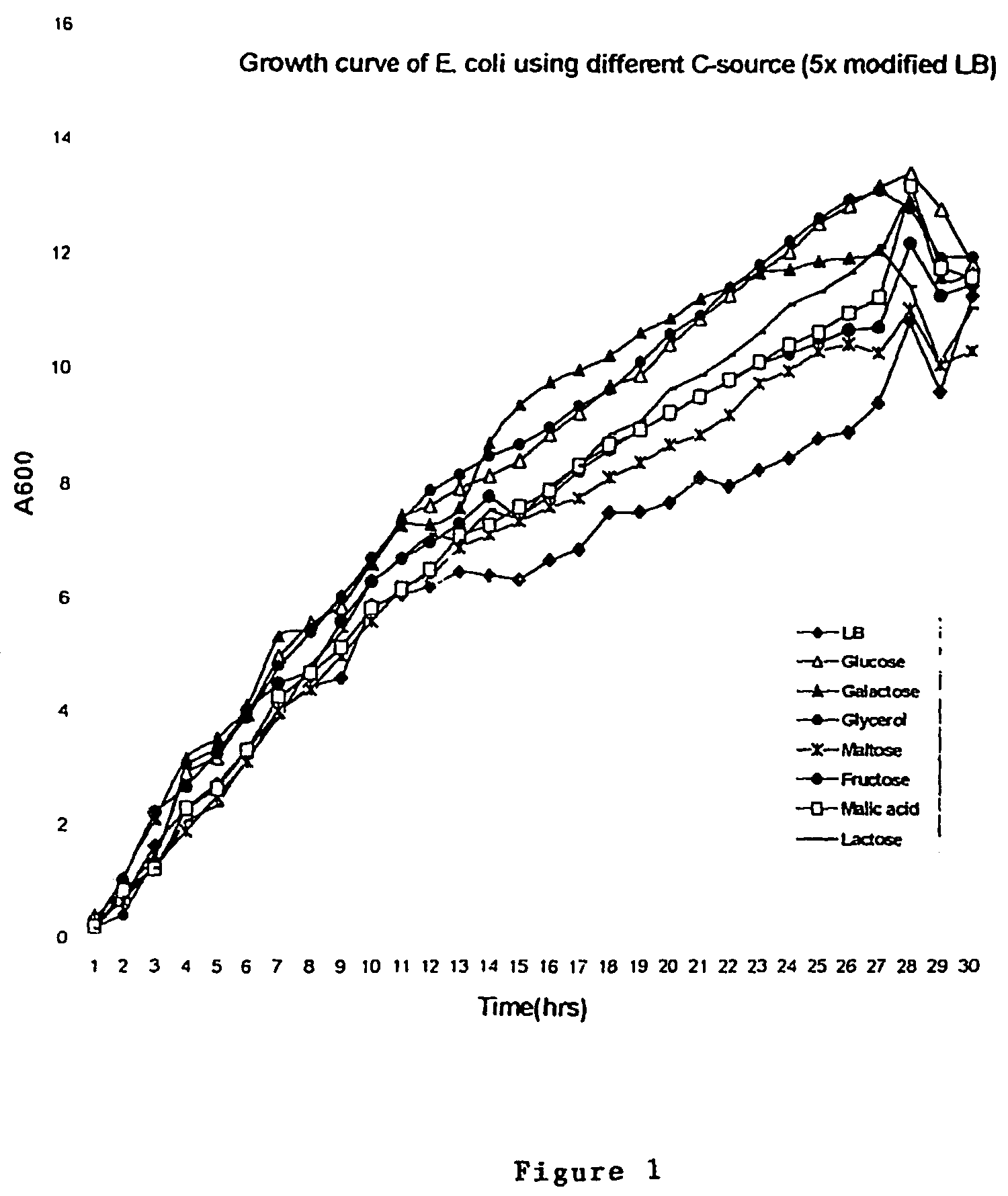 High level constitutive production of anthrax protective antigen