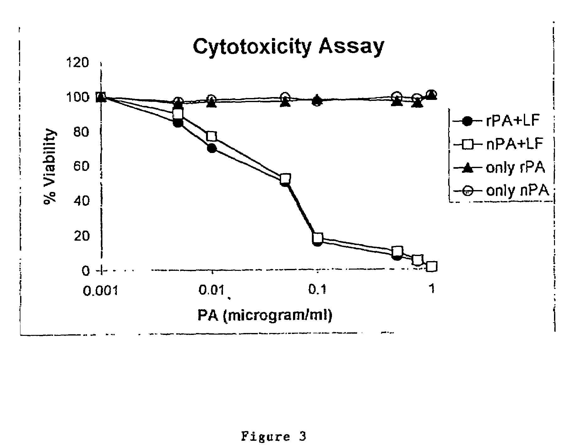 High level constitutive production of anthrax protective antigen