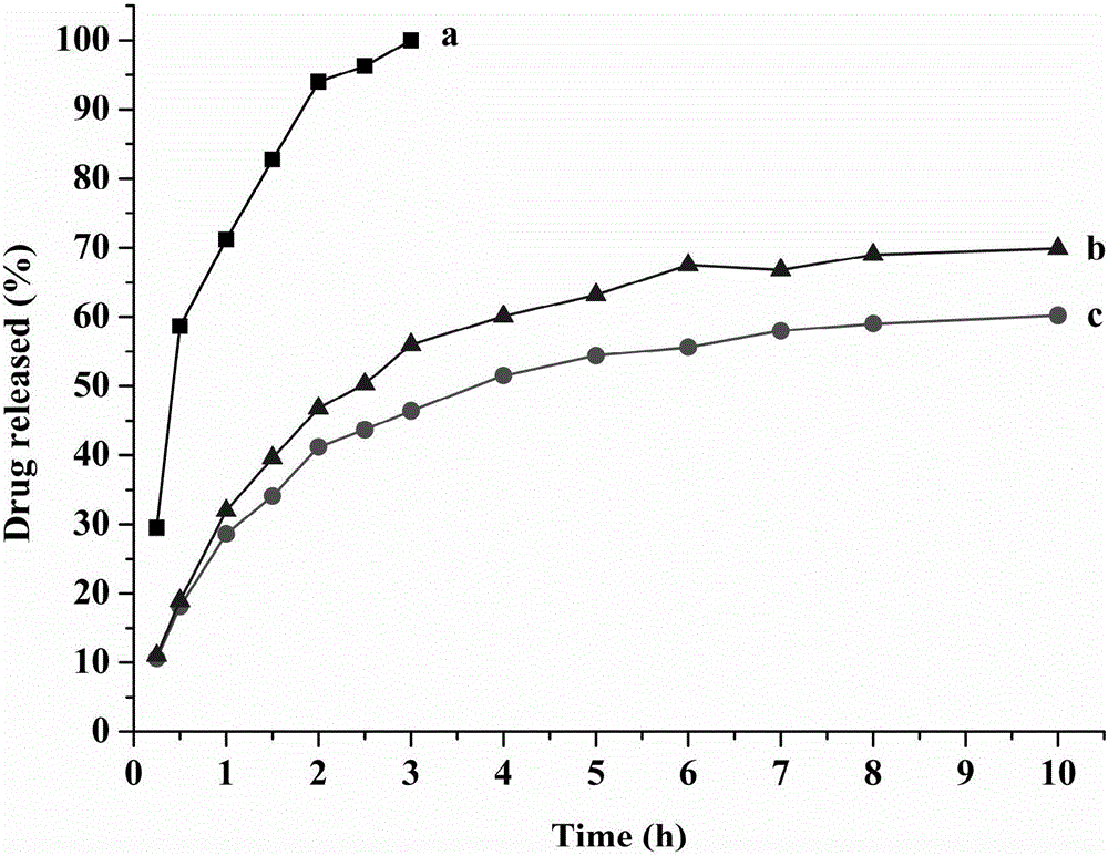 Montmorillonite inlaid liposome preparation and preparation method thereof