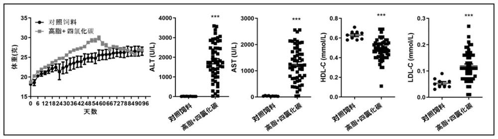 Pharmaceutical composition for preventing and treating tissue damage caused by metabolic disorder or inflammation