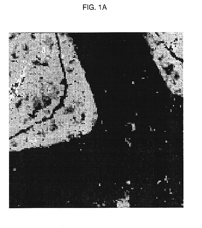 Catalyst for purifying exhaust gases