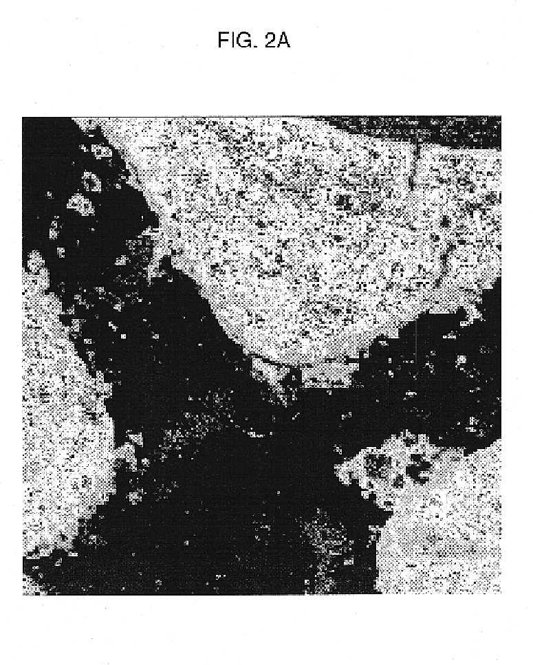 Catalyst for purifying exhaust gases