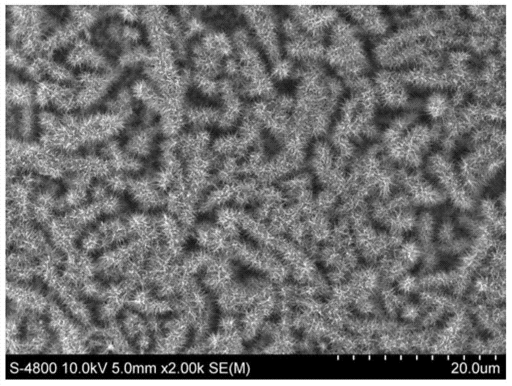 Preparation method of silver dendrite/silicon tip nanocomposite with cactus structure