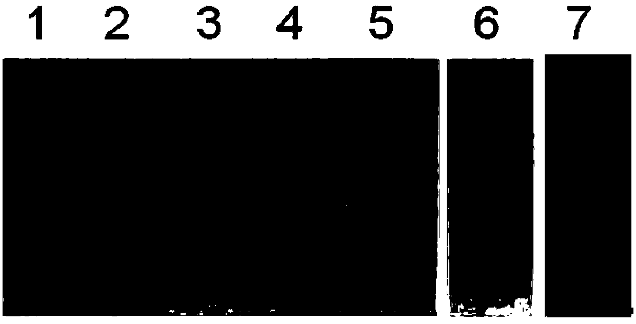 Diagnostic kit and application of BFAR (bifunctional apoptosis regulator) in preparation of gastric cancer early diagnostic reagent