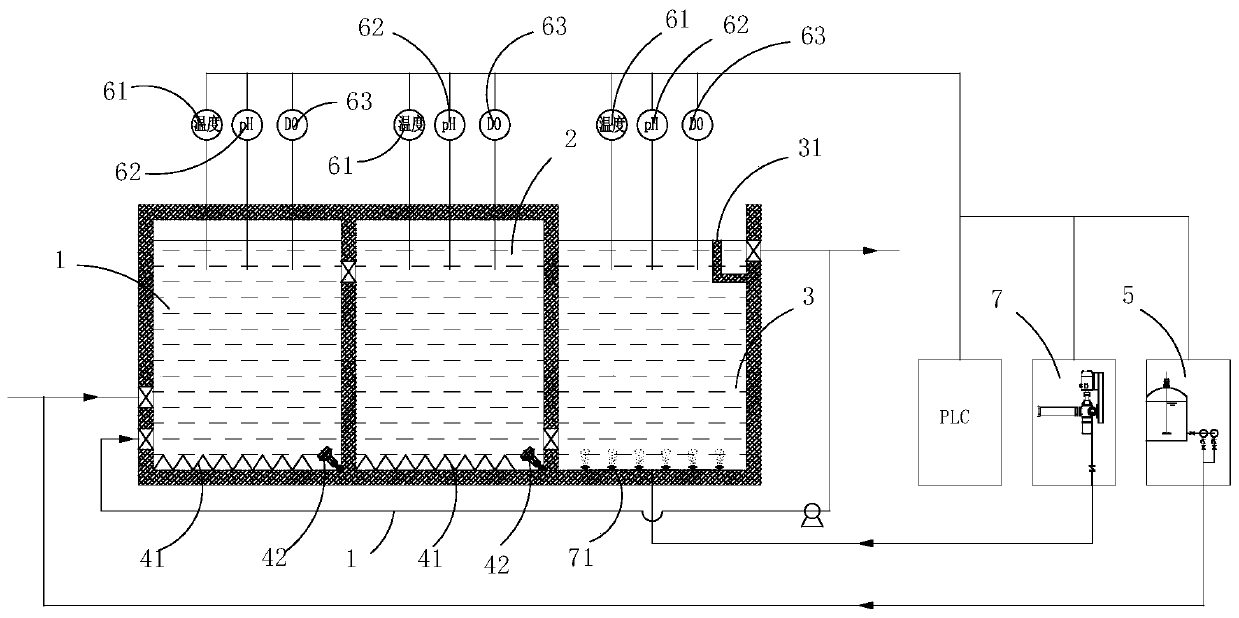 Anaerobic ammonia oxidation denitrification system and method for low-carbon-source sewage