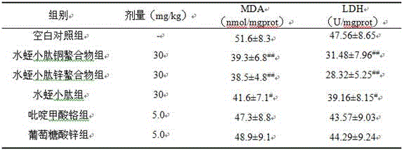 Leech small peptide chelate with coagulation preventing and blood activating effect and preparation method thereof