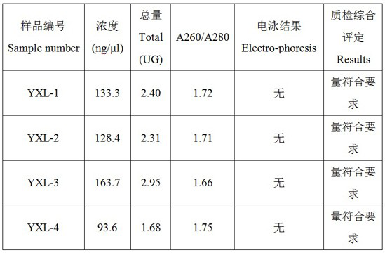 Extraction method of exosomes from mouse brain slices