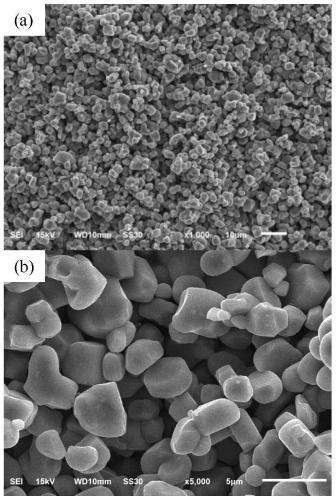 High-capacity long-cycle single-crystal ternary positive electrode material and preparation method thereof