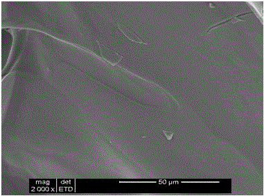 Inorganic/organic diphase nano composite bone tissue engineering scaffold and preparation method thereof