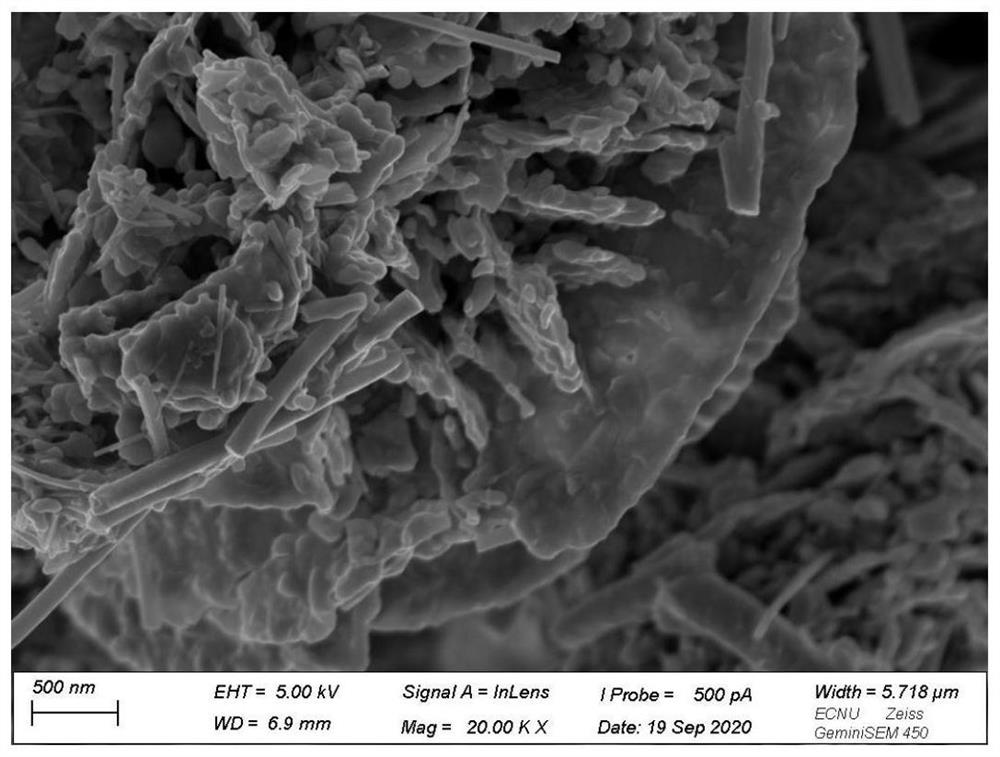 Flower-shaped VS2@Ti3C2 nano composite material based on two-dimensional material as well as preparation method and application thereof