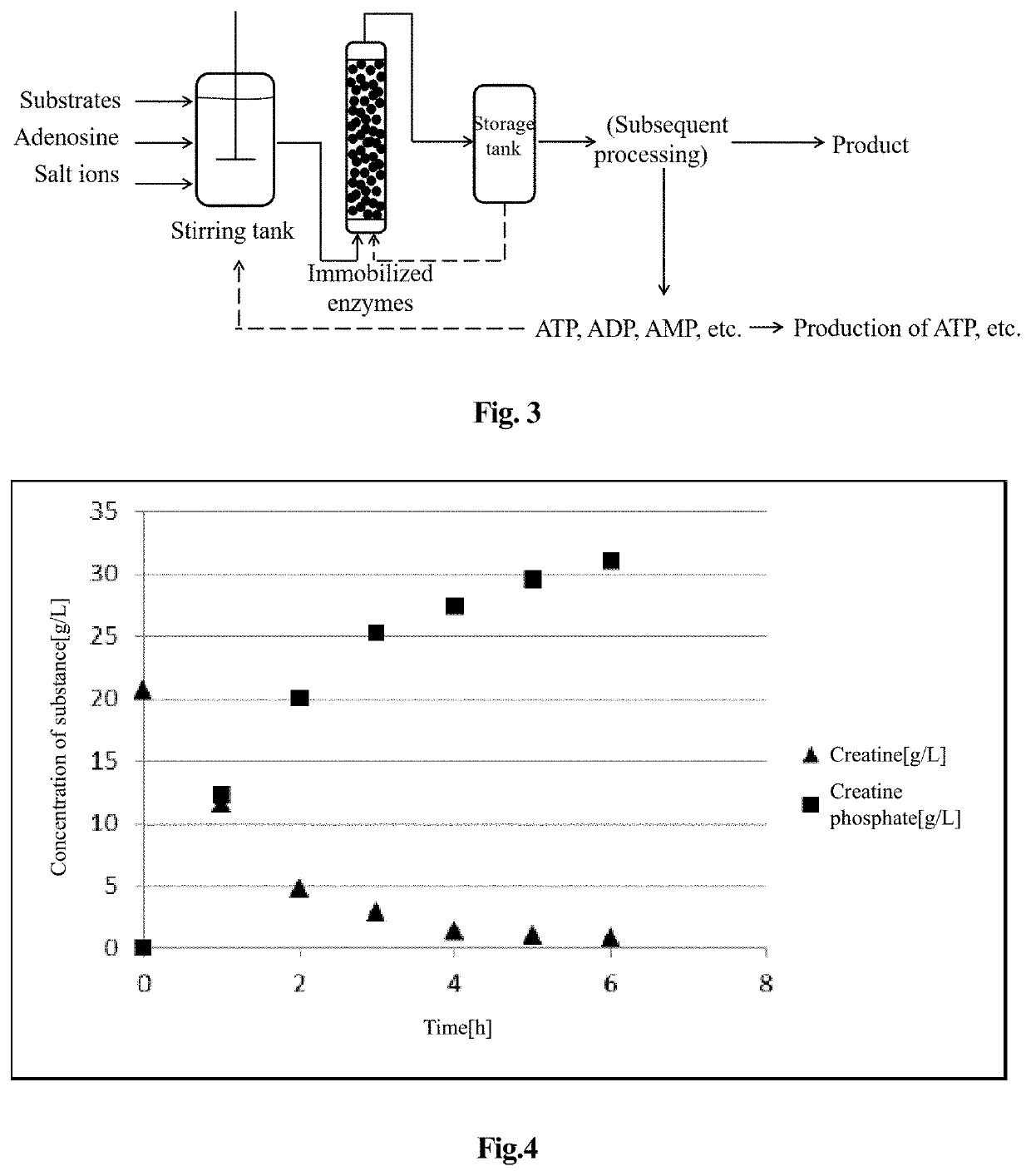 Method for producing enzymatic reaction by using adenosine to replace atp