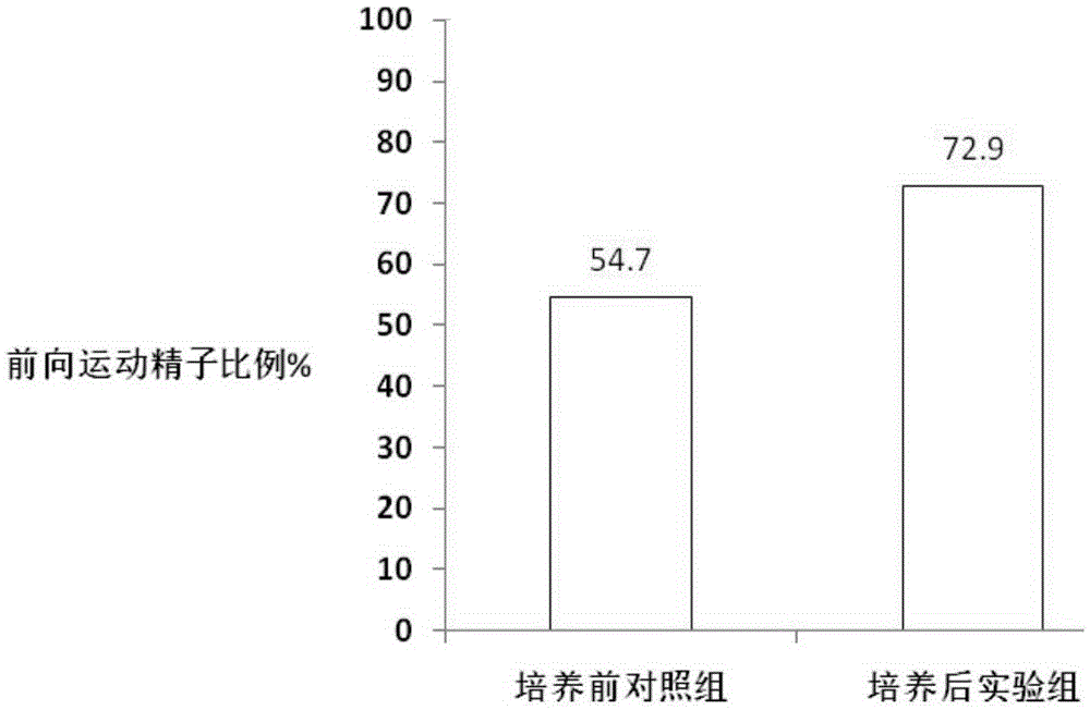 In vitro culture system kit for raising human sperm motility and application thereof