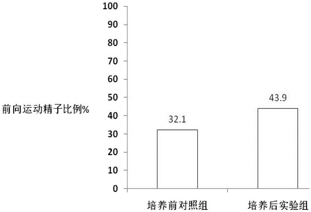 In vitro culture system kit for raising human sperm motility and application thereof