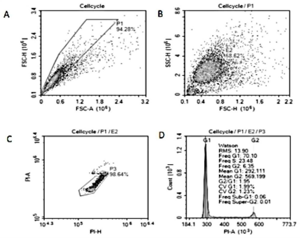 Stem cell preparation modified by long-acting GLP-1 gene, preparation method and application of stem cell preparation